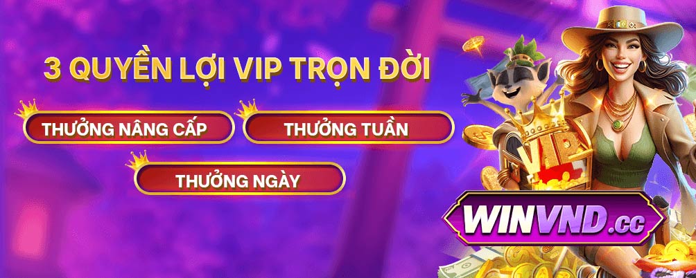 Quyền lợi vip trọn đời