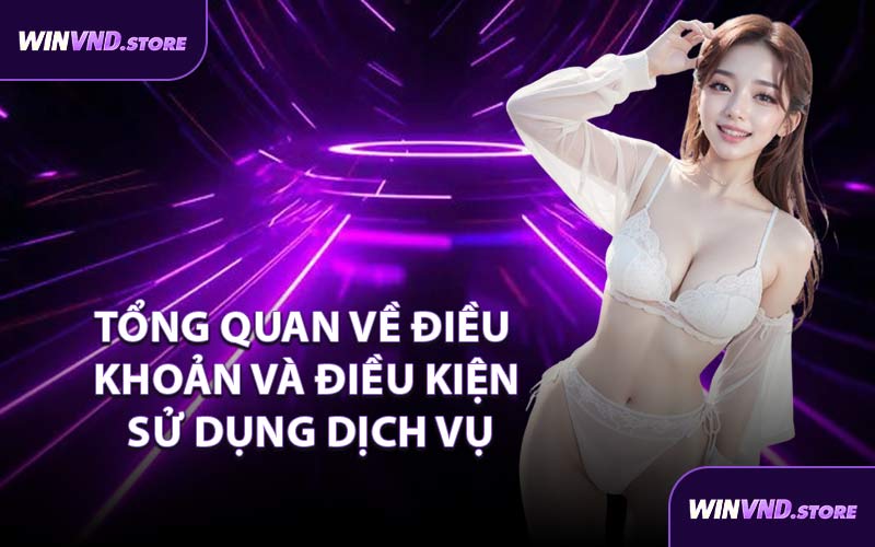 Tổng Quan Về Điều Khoản Và Điều Kiện Sử Dụng Dịch Vụ